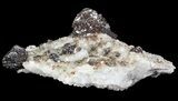 Sphalerite on Quartz - Elmwood Mine #66312-3
